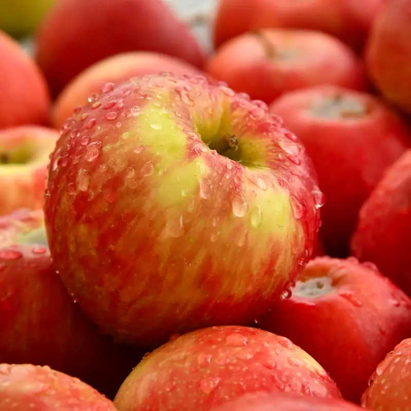 Maçãs frescas selecionadas